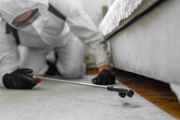 Professional Pest Control technician working in Quitman, GA