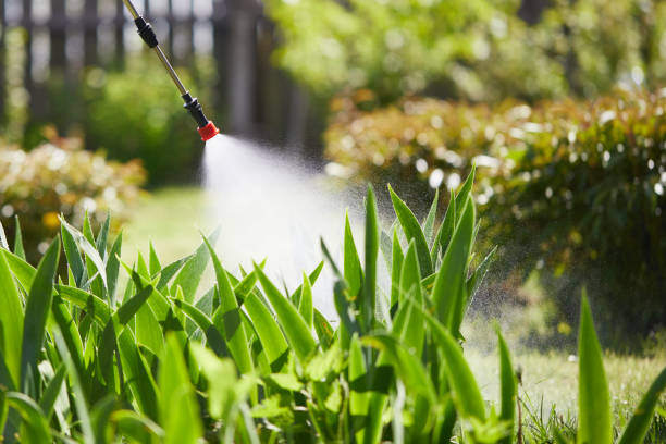 24/7 Emergency Cockroach Control experts in Quitman, GA