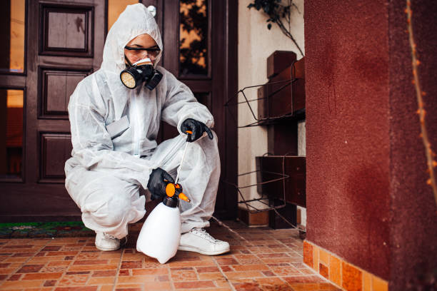Reliable Cockroach Control contractor in Quitman, GA by Nex Pest Control
