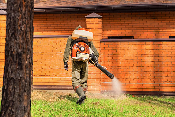 Trusted Bed Bug Control service in Quitman, GA - Nex Pest Control